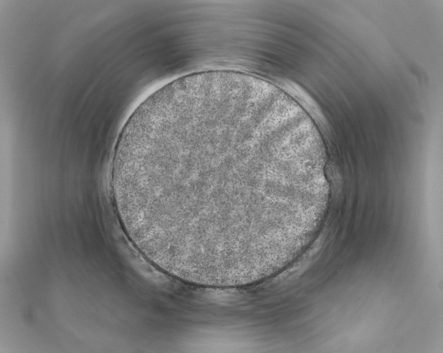 X0000110881052200907301430