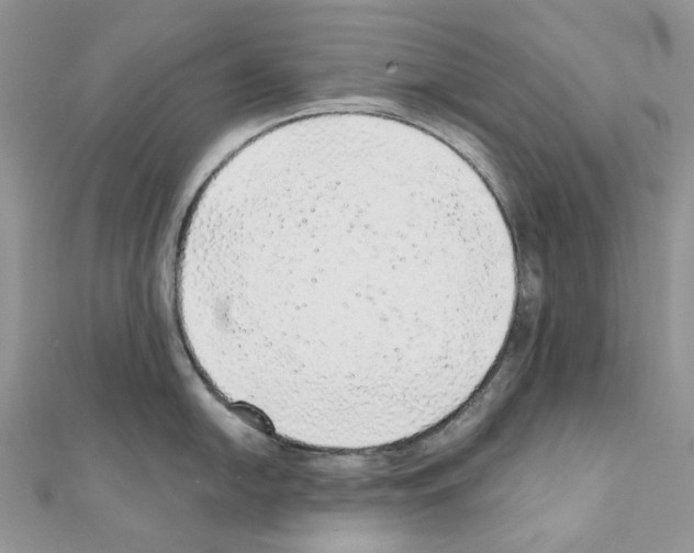 X0000110881054200907301430