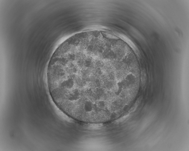 X0000110881055200907301430