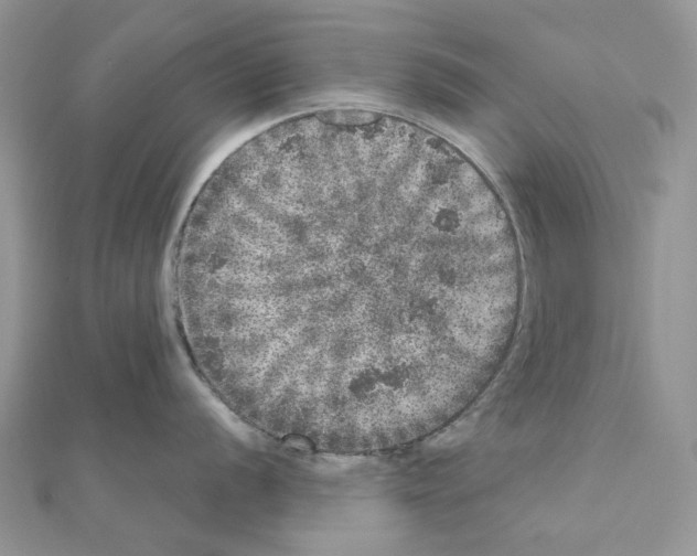 X0000110881056200907301430