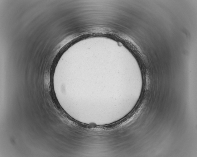 X0000110881065200907301429