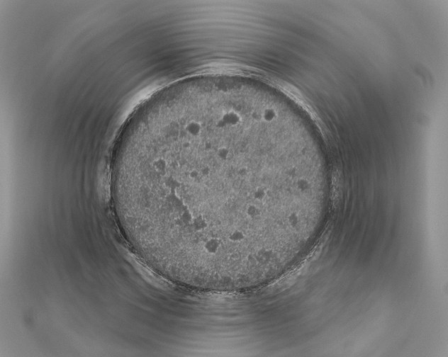 X0000110881067200907301429