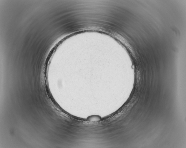 X0000110881068200907301429