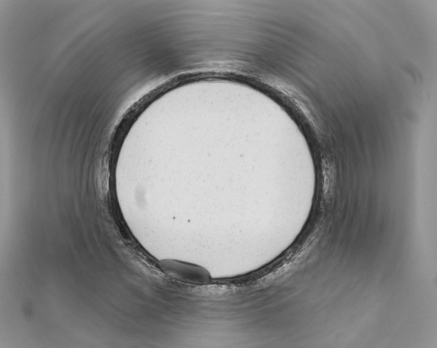 X0000110881069200907301429