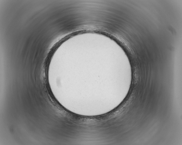 X0000110881070200907301429