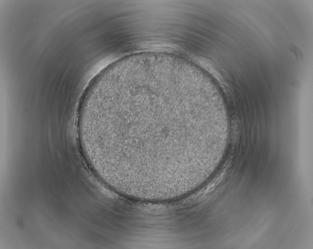 X0000110881071200907301429