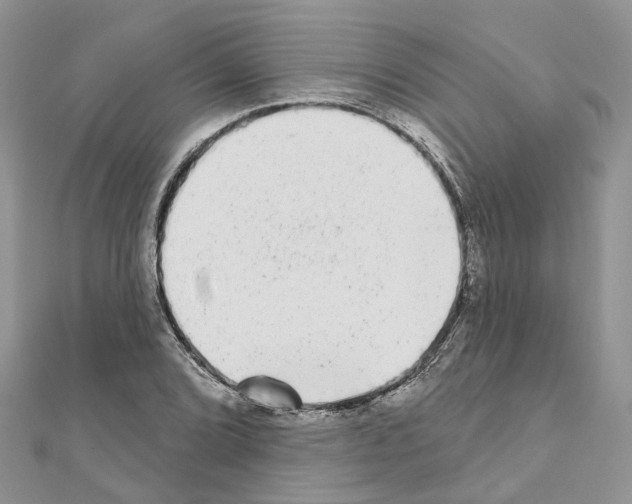 X0000110881072200907301429