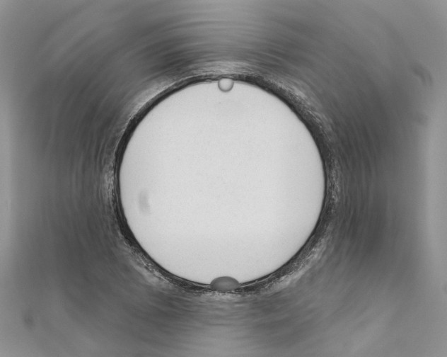 X0000110881073200907301429