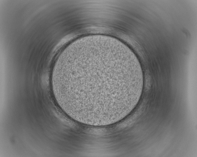 X0000110881074200907301429