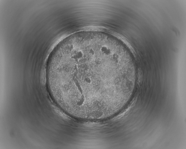 X0000110881075200907301429