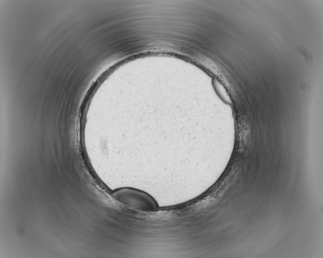 X0000110881076200907301429