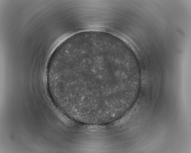 X0000110881077200907301429