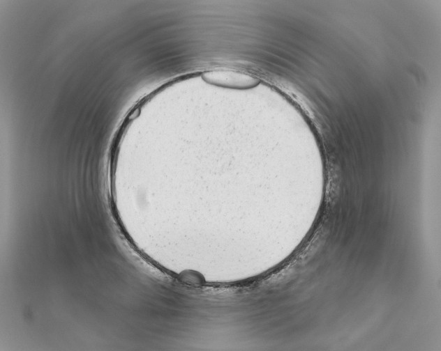 X0000110881080200907301429