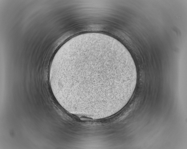 X0000110881081200907301429