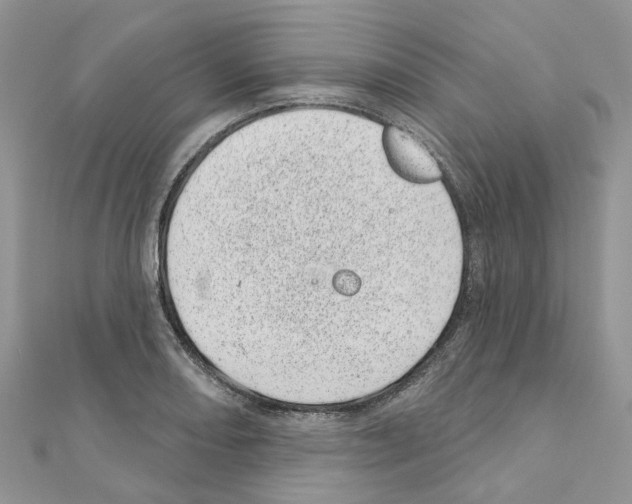 X0000110881082200907301429