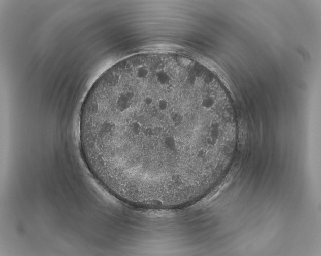 X0000110881083200907301429