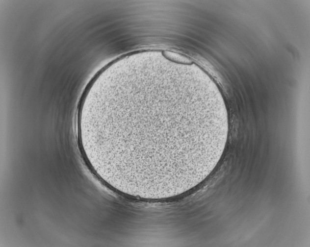 X0000110881084200907301429