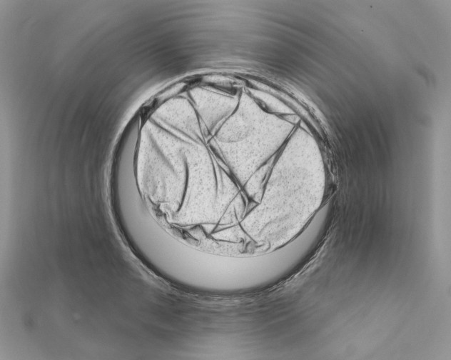 X0000110881085200907301429