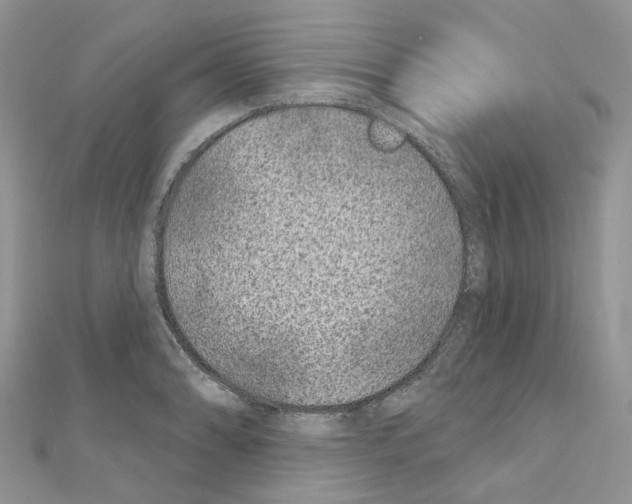 X0000110881086200907301429