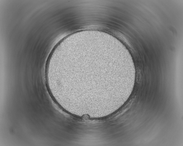 X0000110881087200907301429