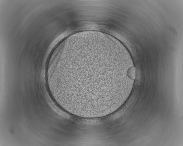 X0000110881090200907301429