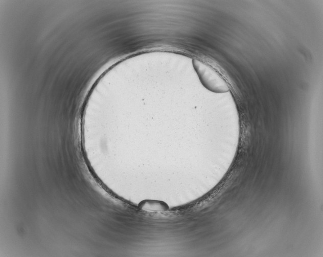 X0000110881092200907301429