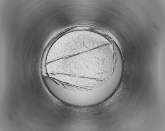 X0000110881093200907301429