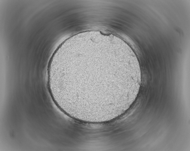 X0000110881095200907301429