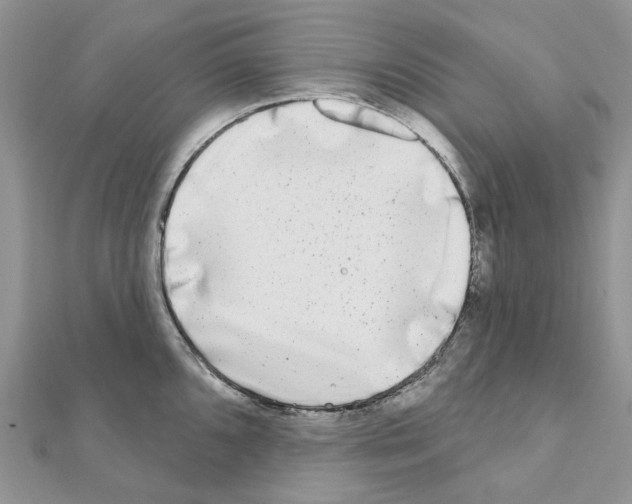 X0000110881096200907301428