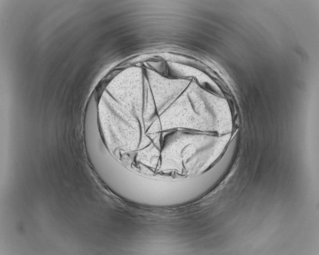 X0000110881097200907301428