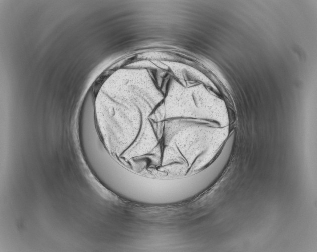 X0000110881098200907301428