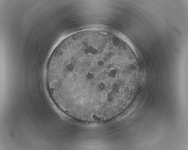 X0000110881099200907301428