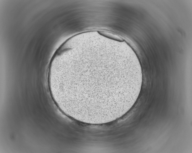 X0000110881102200907301428