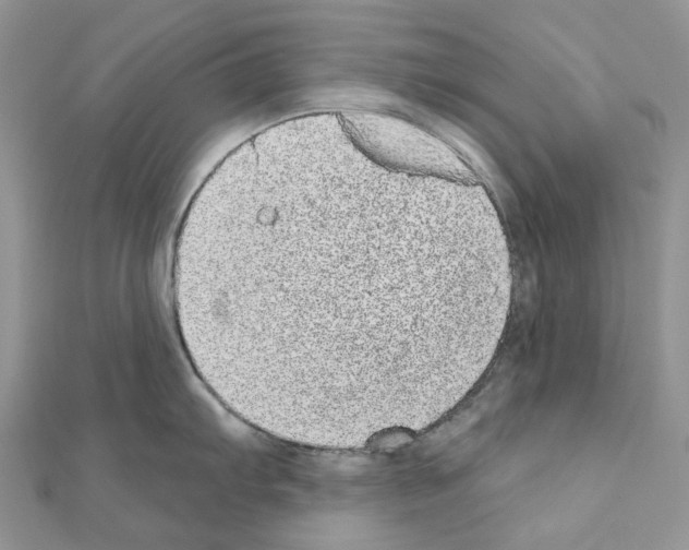 X0000110881103200907301428