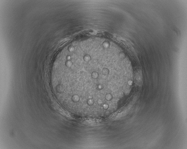 X0000110881105200907301428