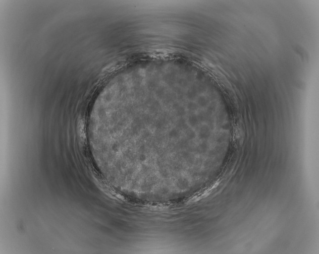 X0000110881106200907301428