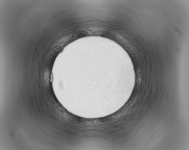 X0000110881108200907301428