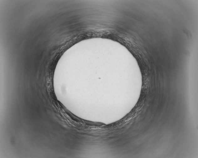 X0000110881109200907301428