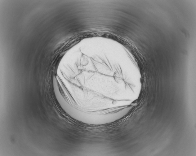 X0000110881110200907301428