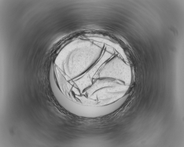 X0000110881112200907301428