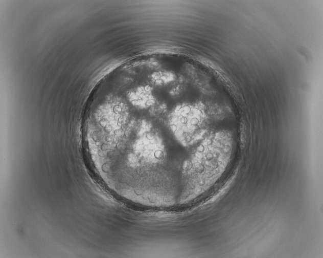 X0000110881113200907301428