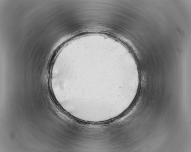 X0000110881114200907301428