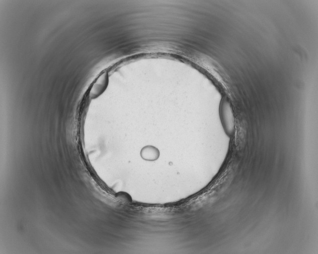 X0000110881116200907301428