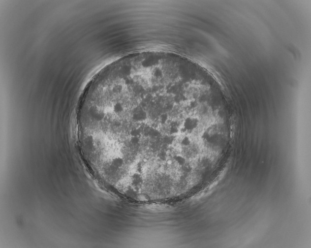 X0000110881117200907301428