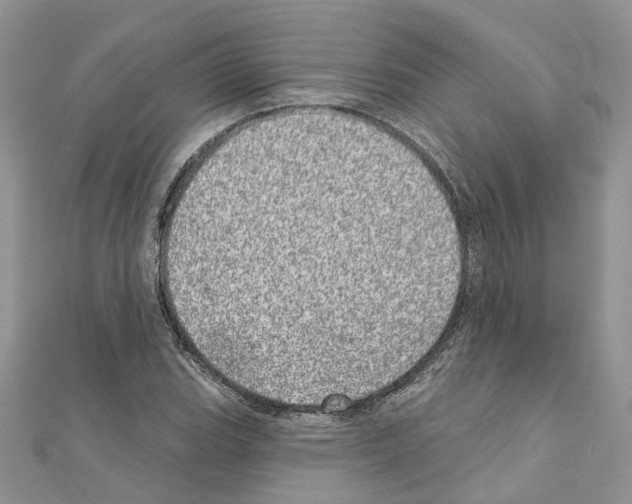 X0000110881119200907301428