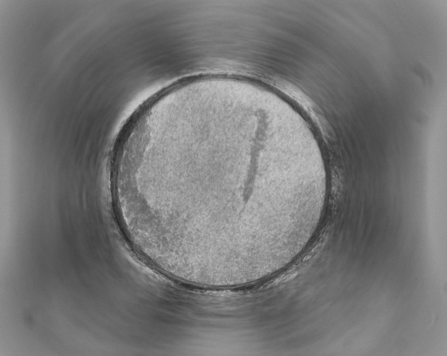 X0000110881120200907301428