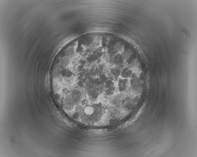 X0000110881121200907301428