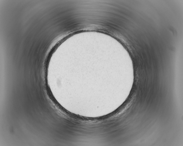 X0000110881122200907301428