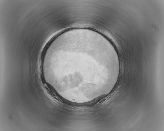 X0000110881124200907301428