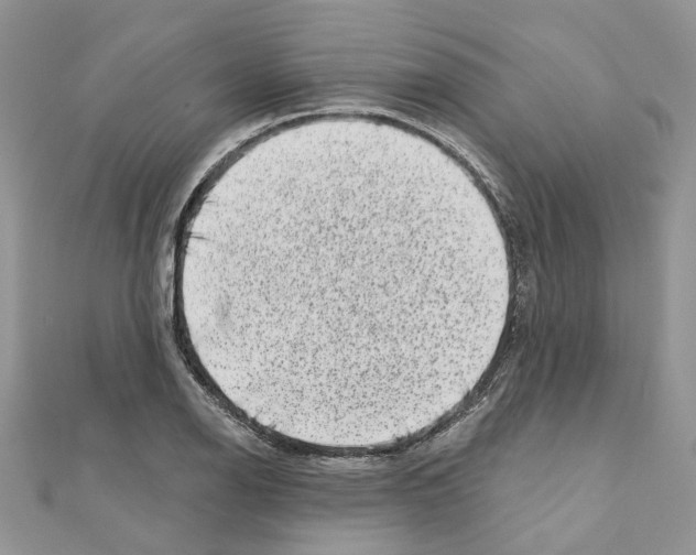 X0000110881126200907301428